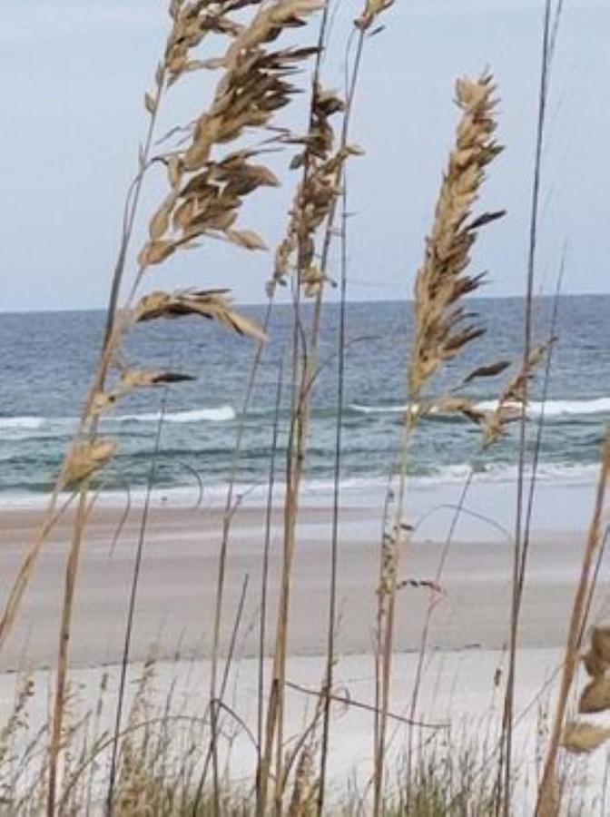 Aparthotel Island Life St. Augustine Beach Zewnętrze zdjęcie